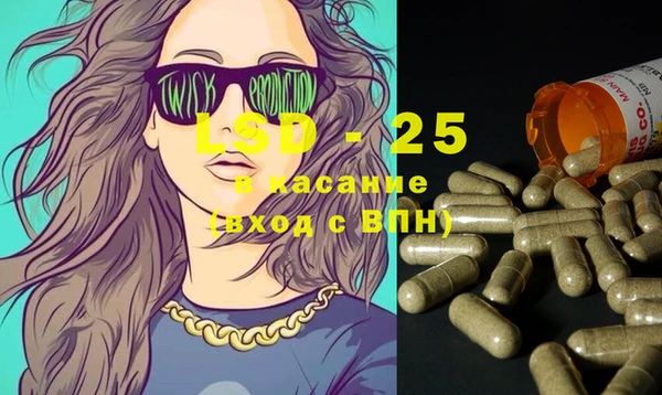 PSILOCYBIN Аркадак