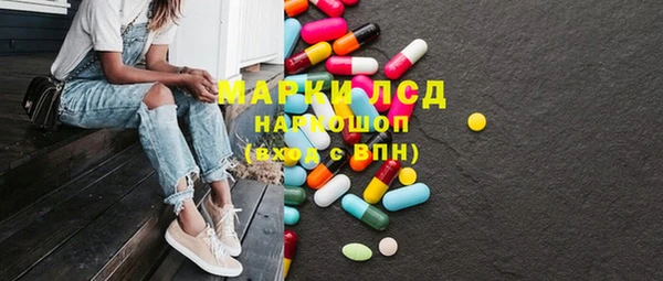 гидра Арсеньев