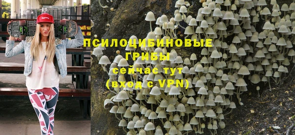 PSILOCYBIN Аркадак