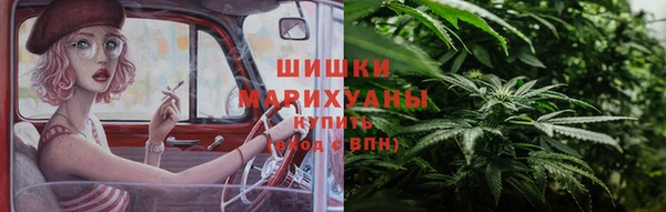 гидра Арсеньев