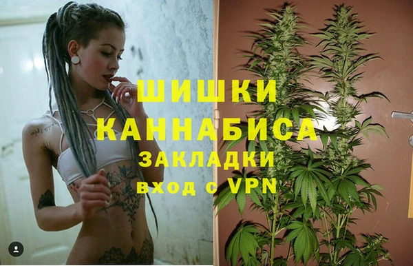 PSILOCYBIN Аркадак